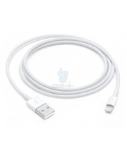 Apple Lightning to USB Cable 1m (MXLY2) фото 715807410