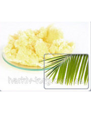 Генезис Масло пальмы, нерафинированное (белое) фото 130644173