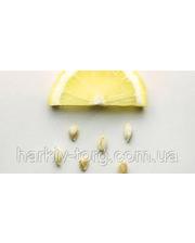 BASF Масло лимонных косточек, рафинированное фото 1009410283