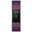 Fitbit Charge 2 фото 806370337