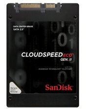 SanDisk SDLF1DAR-960G-1JA2 фото 1627070933